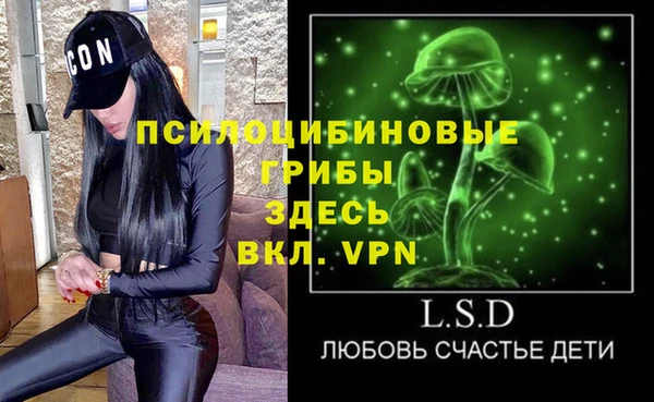 ПСИЛОЦИБИНОВЫЕ ГРИБЫ Балахна