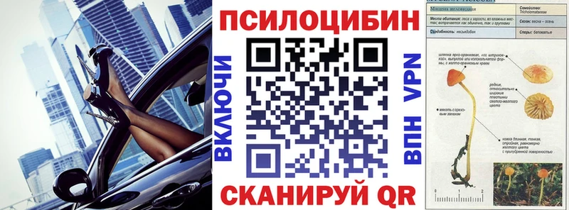 Купить  Беломорск  Псилоцибиновые грибы мухоморы 